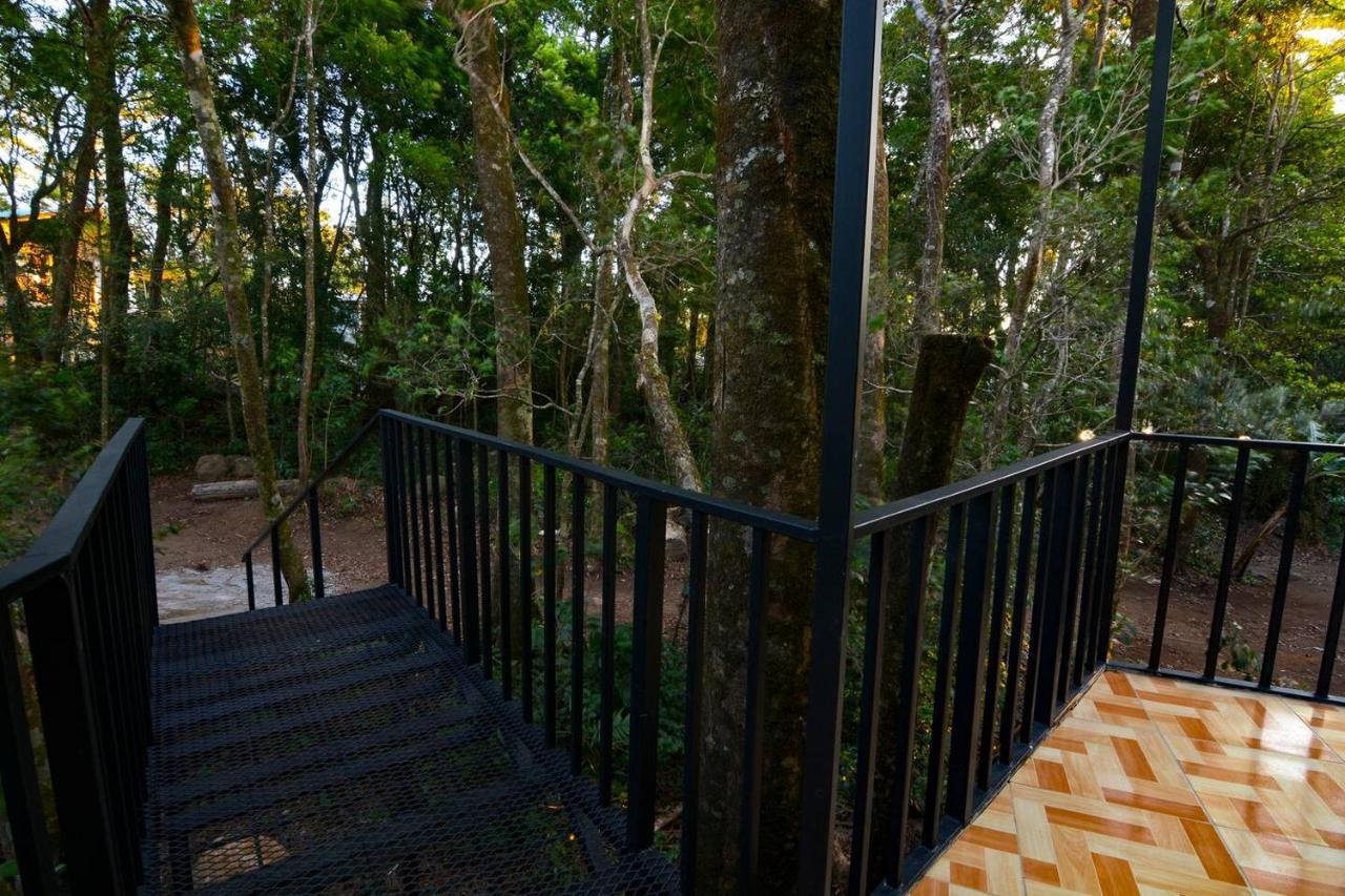 Cabanas Roca Verde Monteverde Ngoại thất bức ảnh