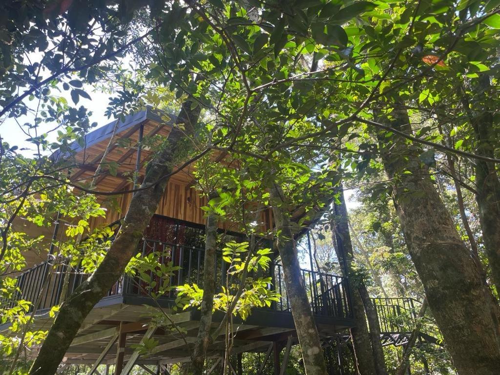 Cabanas Roca Verde Monteverde Ngoại thất bức ảnh