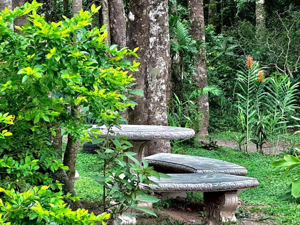 Cabanas Roca Verde Monteverde Ngoại thất bức ảnh