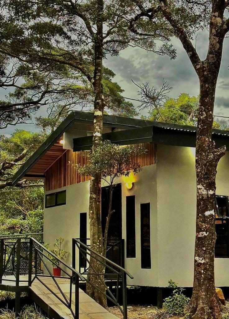 Cabanas Roca Verde Monteverde Ngoại thất bức ảnh